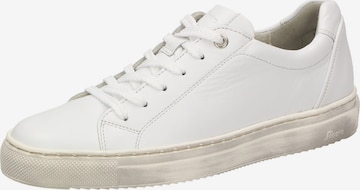 SIOUX Sneaker in Weiß: predná strana