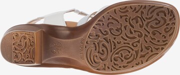 ARA Sandalen met riem 'Lugano' in Wit