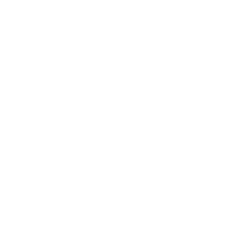 zytzrzy Logo
