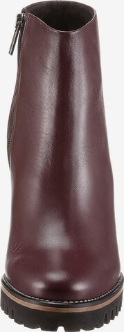 PETER KAISER Ankle Boots 'Gwen' in Purple