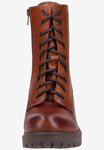 ILC Lace-Up Ankle Boots in Brown