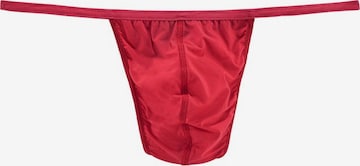 HOM Panty in Red: front