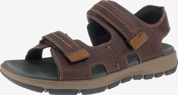 CLARKS Sandalen in Bruin: voorkant