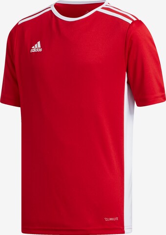 ADIDAS PERFORMANCE Functioneel shirt 'Entrada 18' in Rood: voorkant