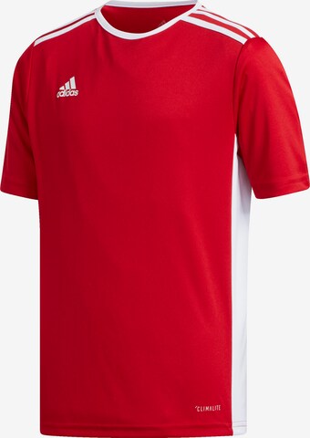 ADIDAS PERFORMANCE Performance Shirt 'Entrada 18' in Red: front