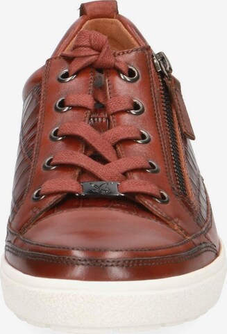 CAPRICE Athletic Lace-Up Shoes in Brown