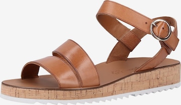 Paul Green Sandalen met riem in Bruin: voorkant