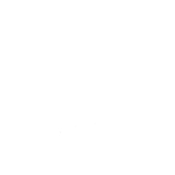 DillySocks Logo