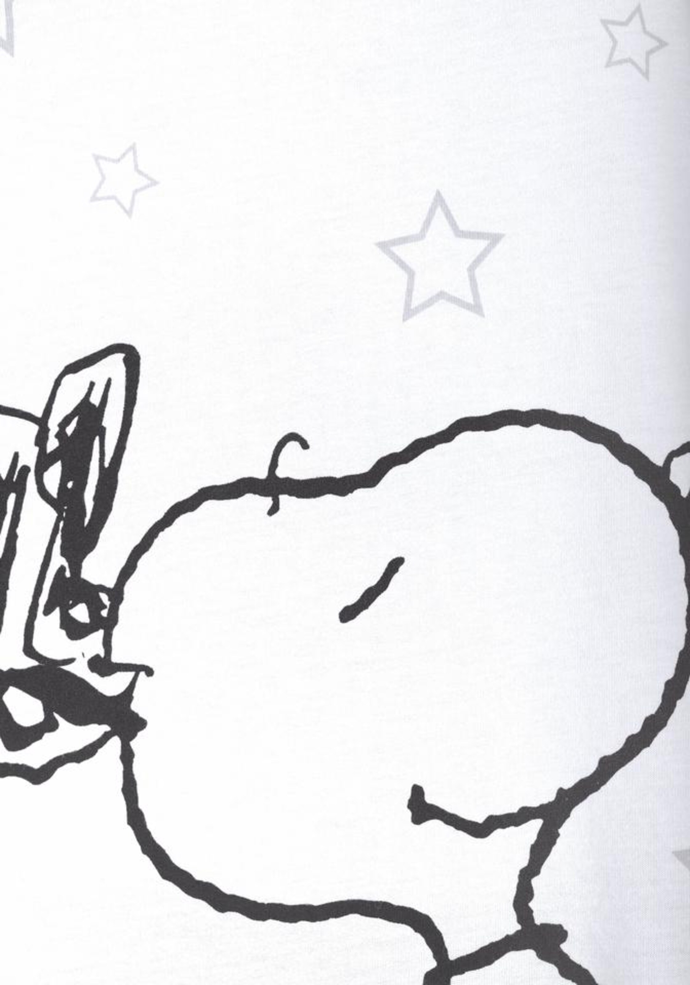 PEANUTS Pyjama in Grijs