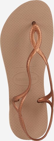 HAVAIANAS Japonki 'Luna' w kolorze brąz: góra