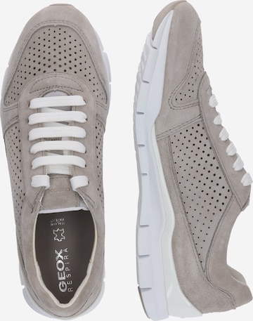 GEOX Sneakers 'Sukie' in Grey