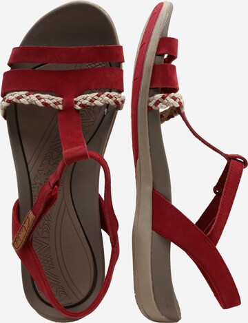 Sandales à lanières 'Tealite Grace' CLARKS en rouge