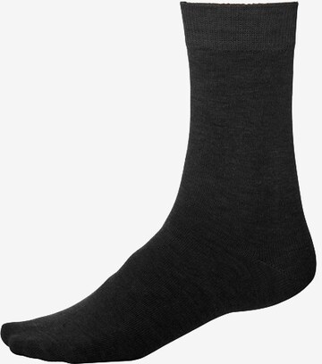 LAVANA Basicsocken (7 Paar) in Schwarz