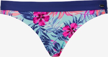 VENICE BEACH Bikinibroek in Blauw: voorkant