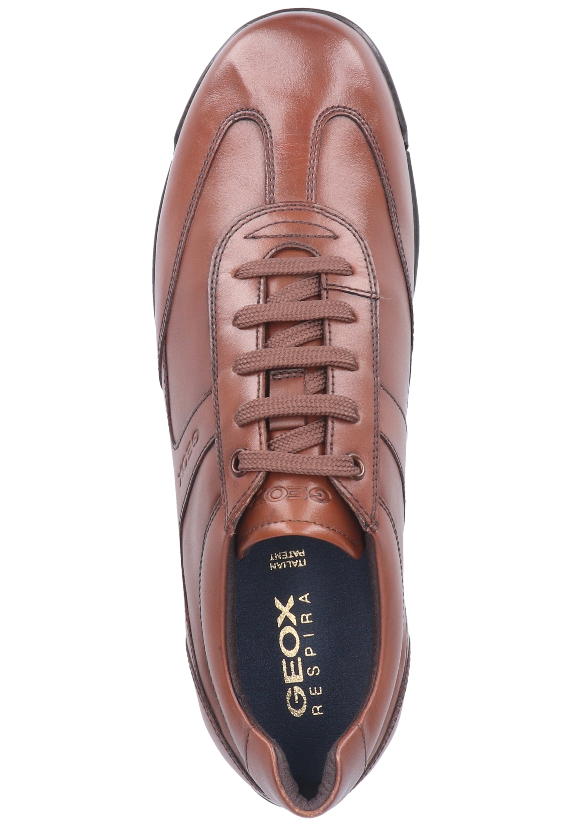 GEOX Sneaker 'Edgeware' in Braun