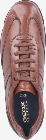 GEOX Sneakers 'Edgeware' in Brown