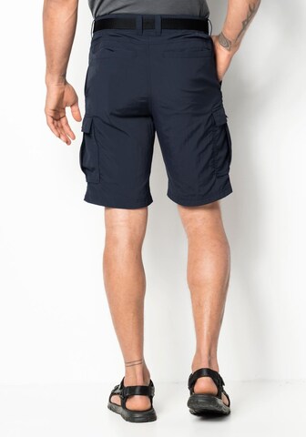 JACK WOLFSKIN Regular Funktionsshorts 'Canyon' in Blau