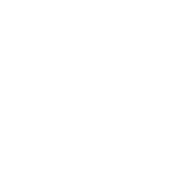 Nasty Gal Logo