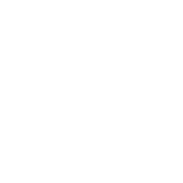 ABOUT YOU x Laura Giurcanu Logo