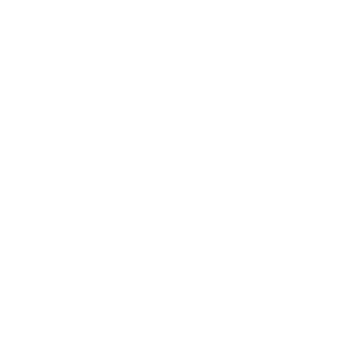 Z-One Logo