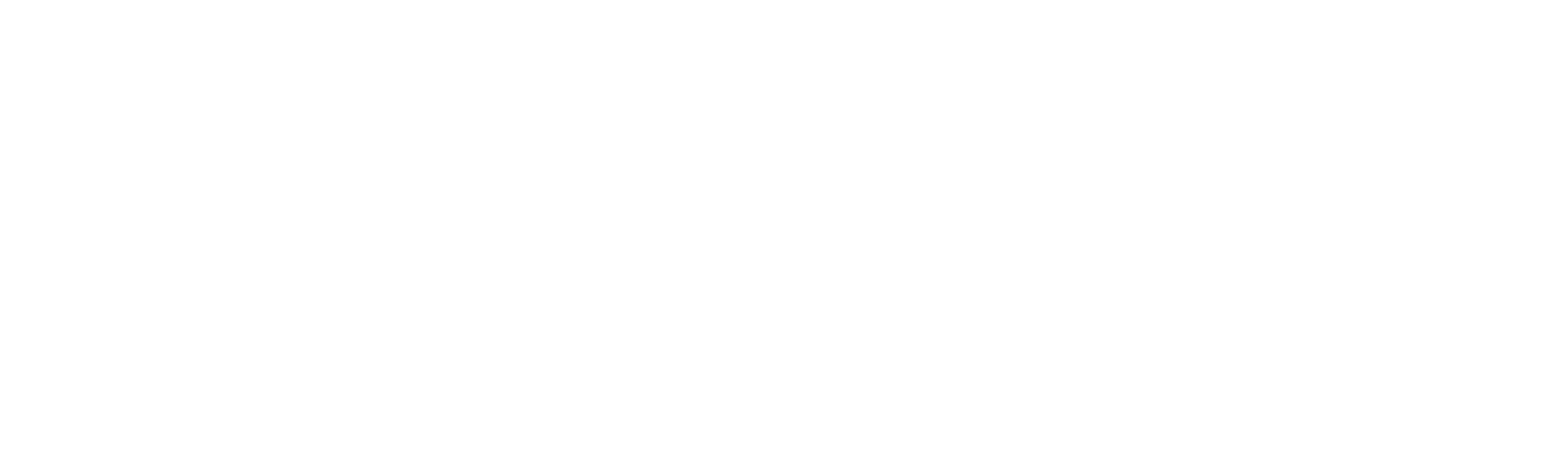 BIG STAR Logo