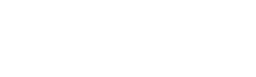 BIG STAR Logo