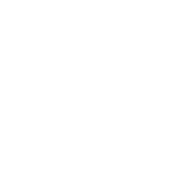 Pont Neuf Logo