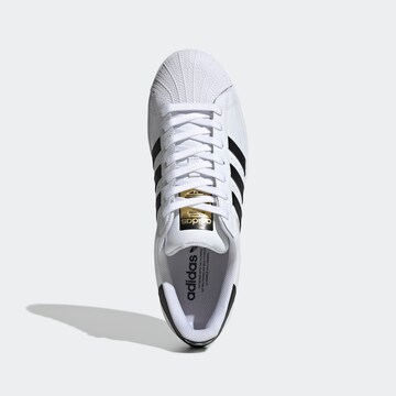 ADIDAS ORIGINALS Låg sneaker 'Superstar' i vit