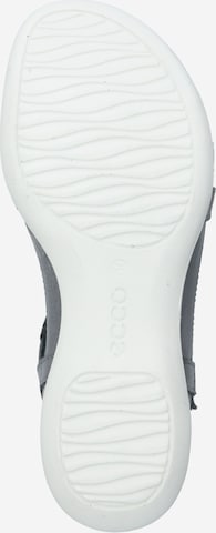 ECCO Sandalen met riem 'Flash' in Grijs