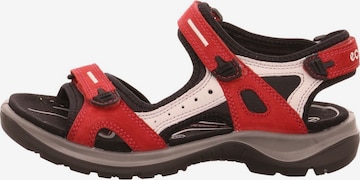 ECCO Hiking Sandals in Red: front