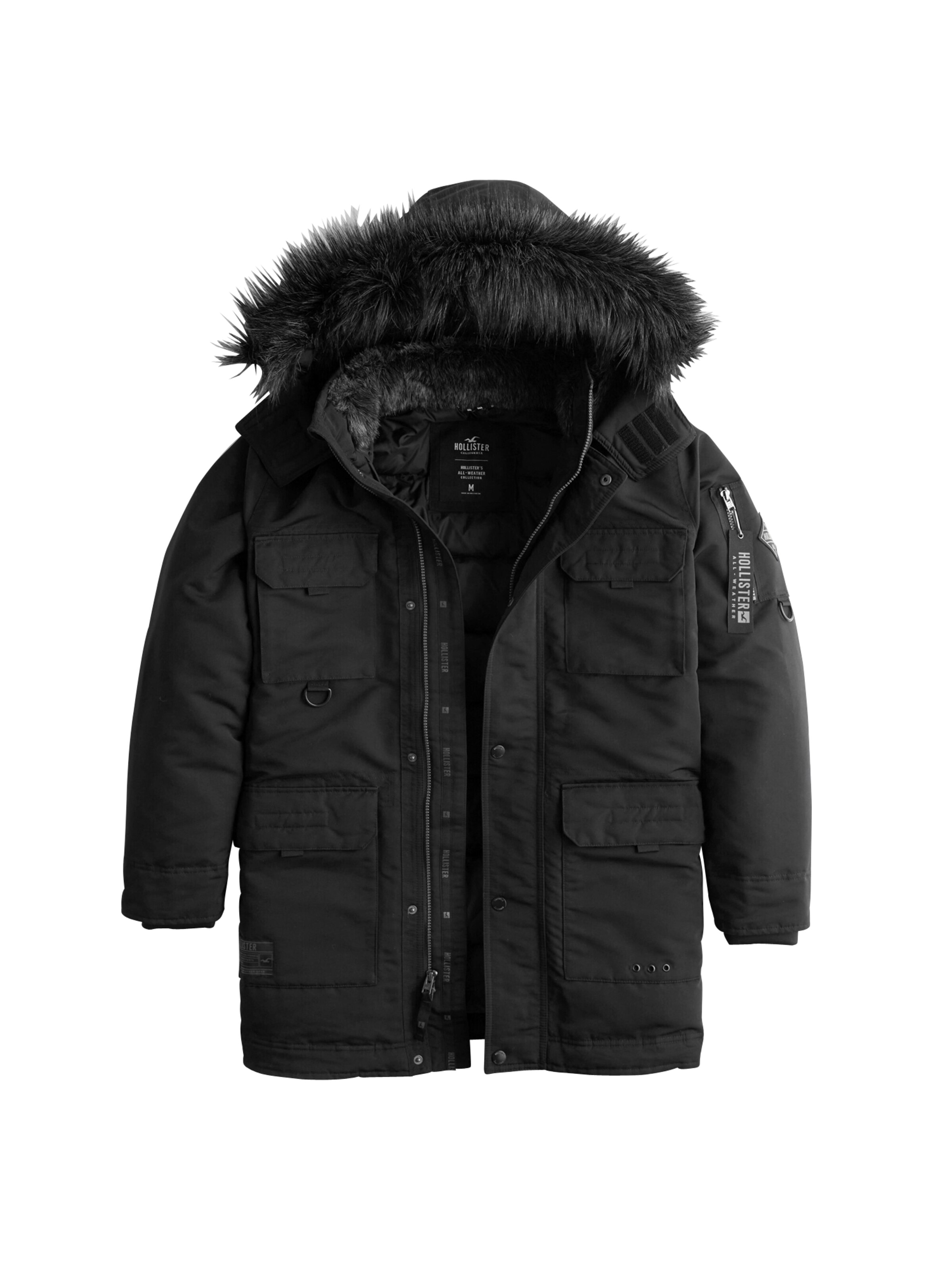 HOLLISTER - Winterparka 'XM19-AW DOWN PARKA BLACK 1CC' in de kleur Zwart