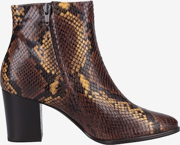 Paul Green Ankle Boots in Brown