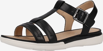 GEOX Sandals in Black: front