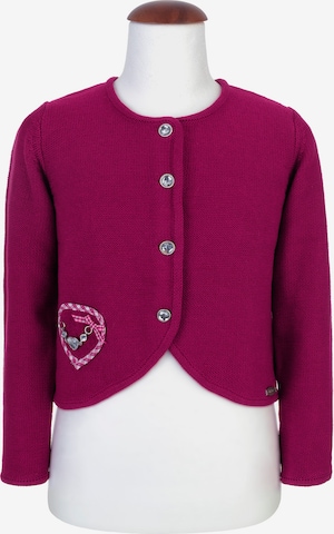 SPIETH & WENSKY Knit Cardigan 'Ribisel' in Pink: front