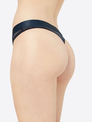 Tommy Hilfiger Underwear Thong in Blue: back