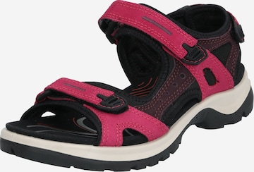 ECCO Hiking Sandals 'Offroad' in Pink: front