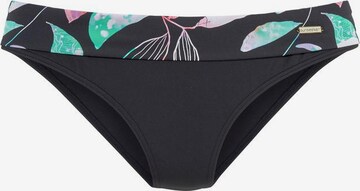 Pantaloncini per bikini di SUNSEEKER in nero: frontale