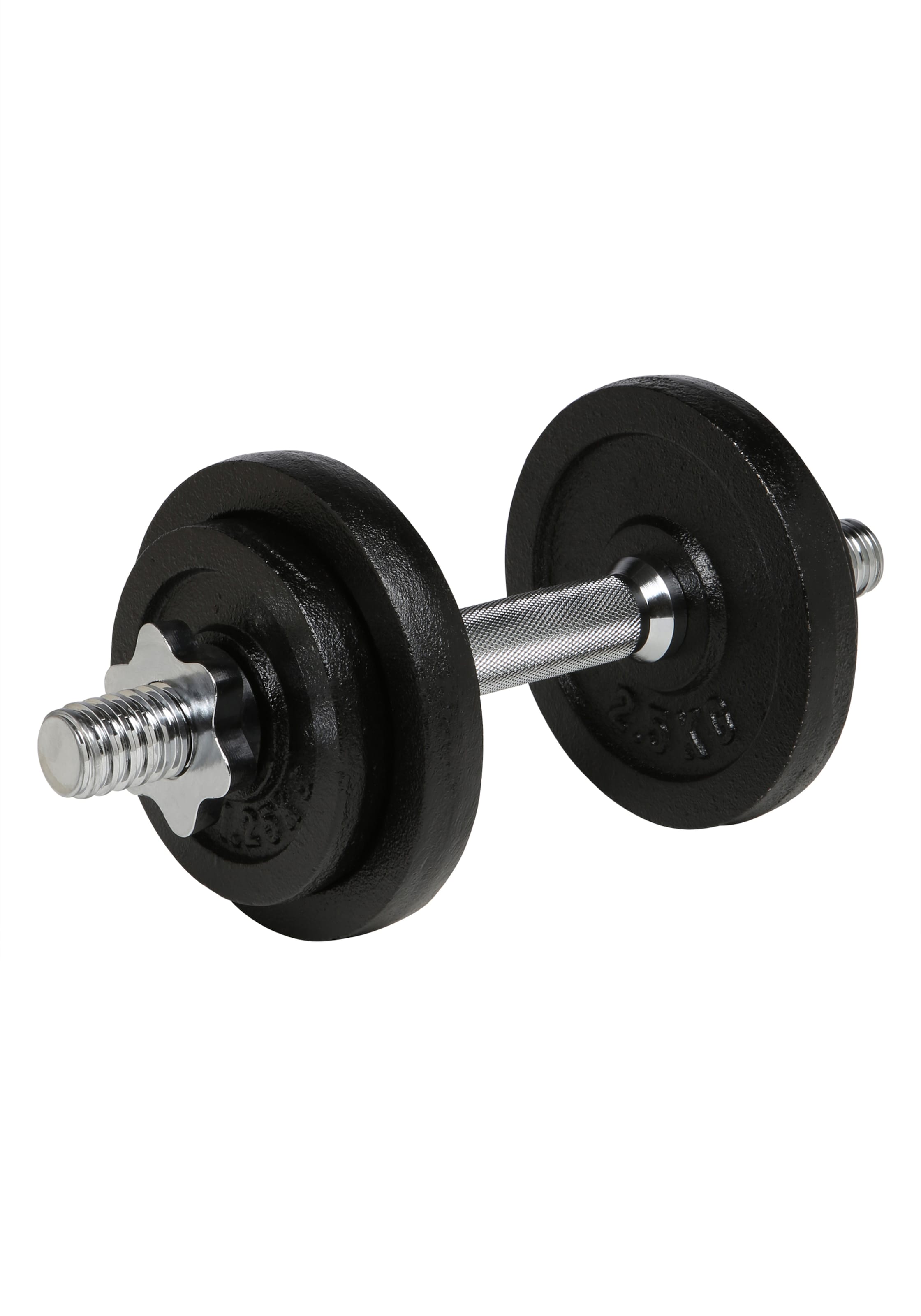 ENDURANCE Dumbbell 'Dumbell 10 kg' in Silver: front