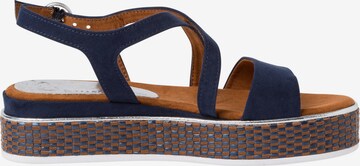 MARCO TOZZI Sandalen met riem in Blauw