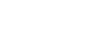 Bogner Fire + Ice Logo