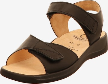 Ganter Sandals in Brown: front