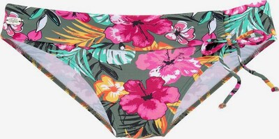 Pantaloncini per bikini BUFFALO di colore colori misti, Visualizzazione prodotti