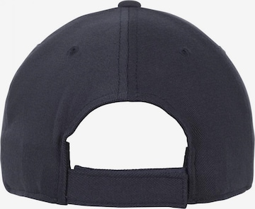 Flexfit Cap 'Pro-Formance' in Blue