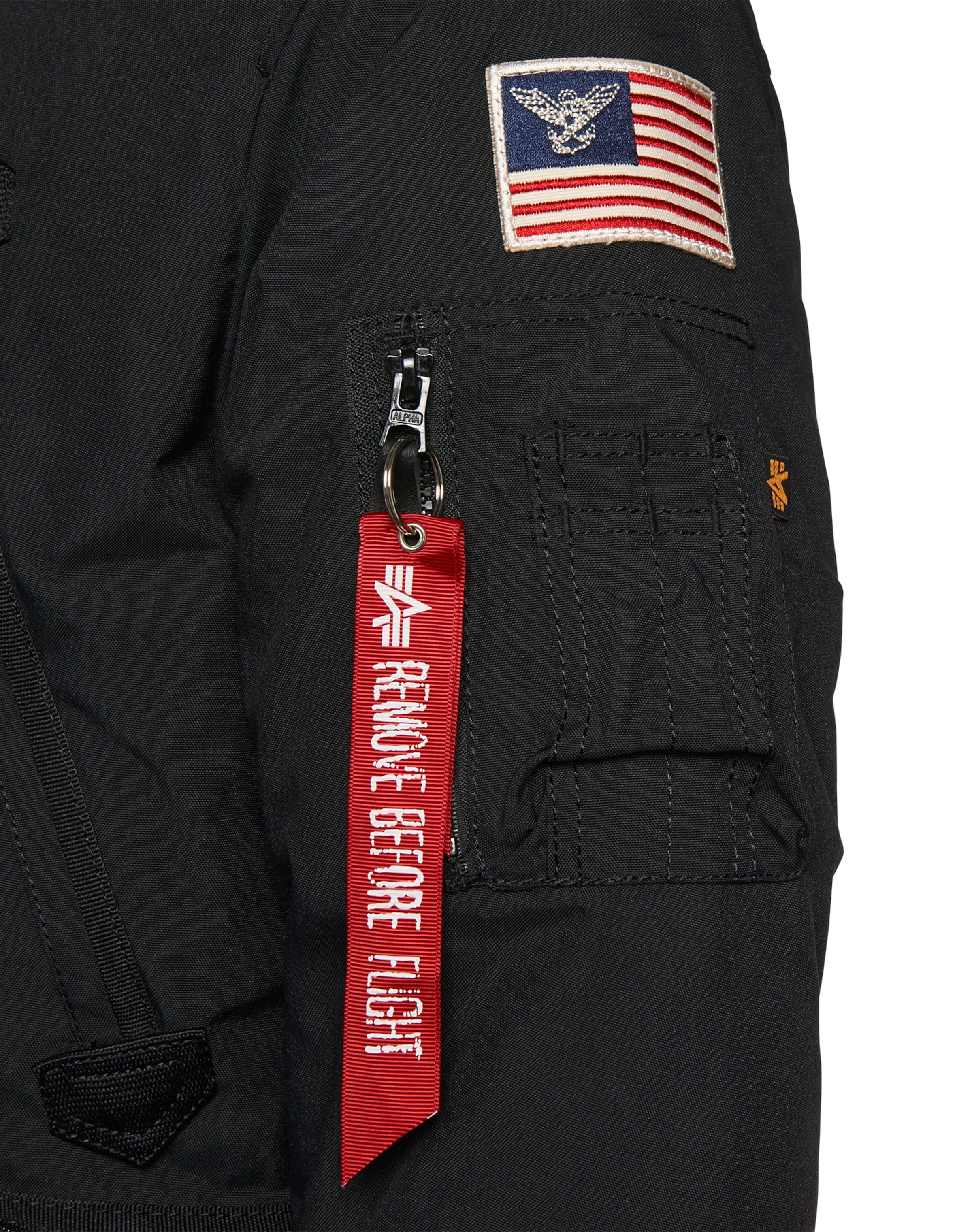 Parka d’hiver 'Polar' ALPHA INDUSTRIES en noir