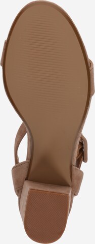 STEVE MADDEN Remmisandaalit 'MALIA' värissä beige