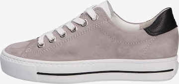 Paul Green Sneakers in Grey