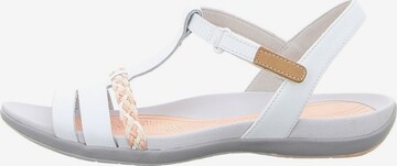 Sandales à lanières 'Tealite Grace' CLARKS en blanc
