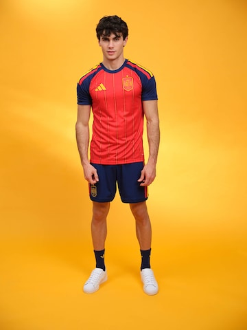 Spain Home Jersey Look
