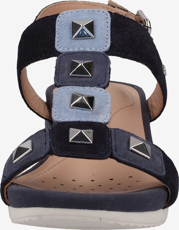 GEOX Sandalen met riem in Blauw