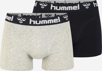 Hummel Boxer shorts 'Mars' in Blue: front